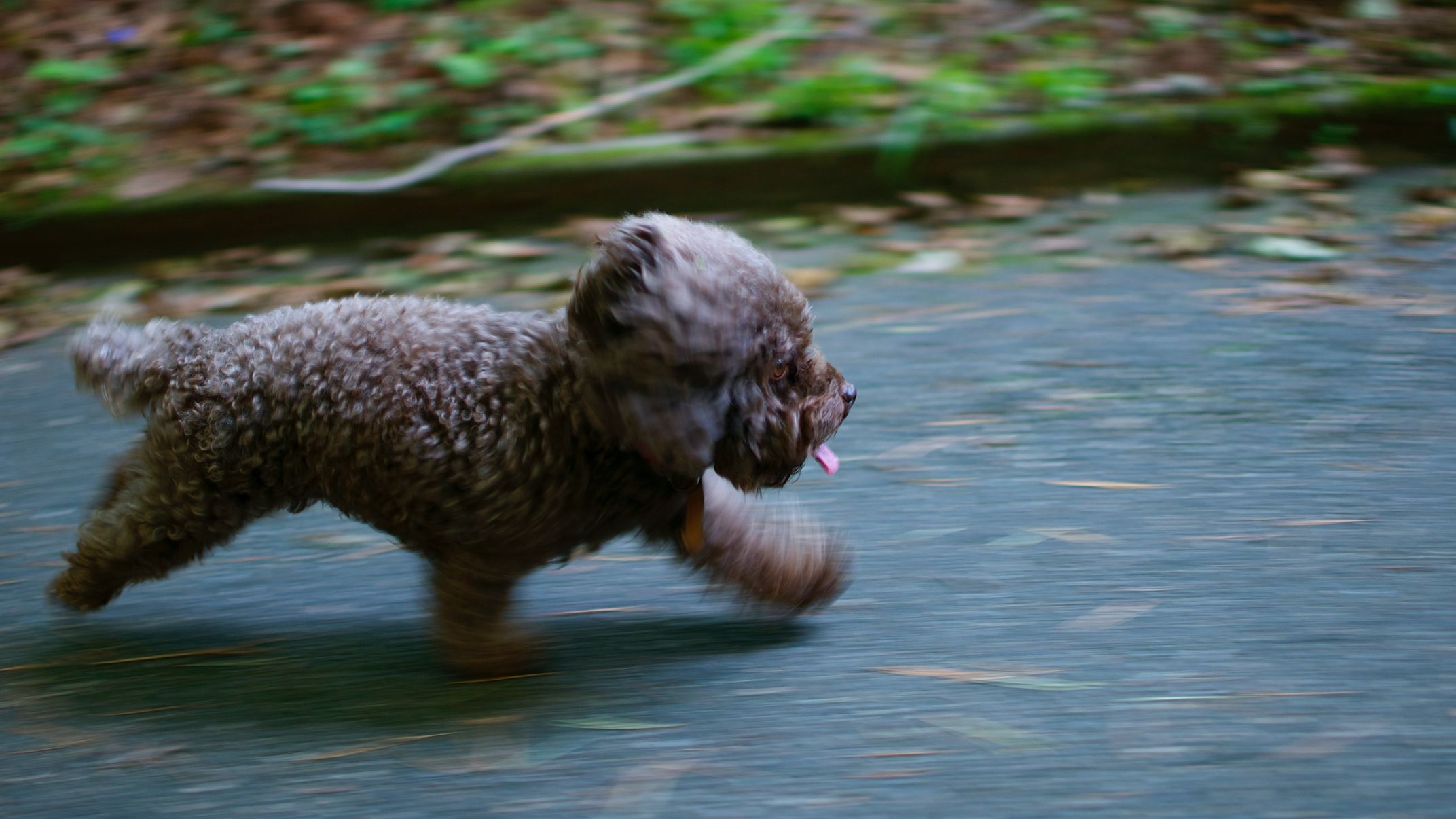 LLM - Encoder - Embedding - Decoder | Kemal Günay